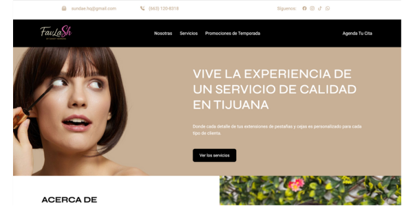 desarrollo web
