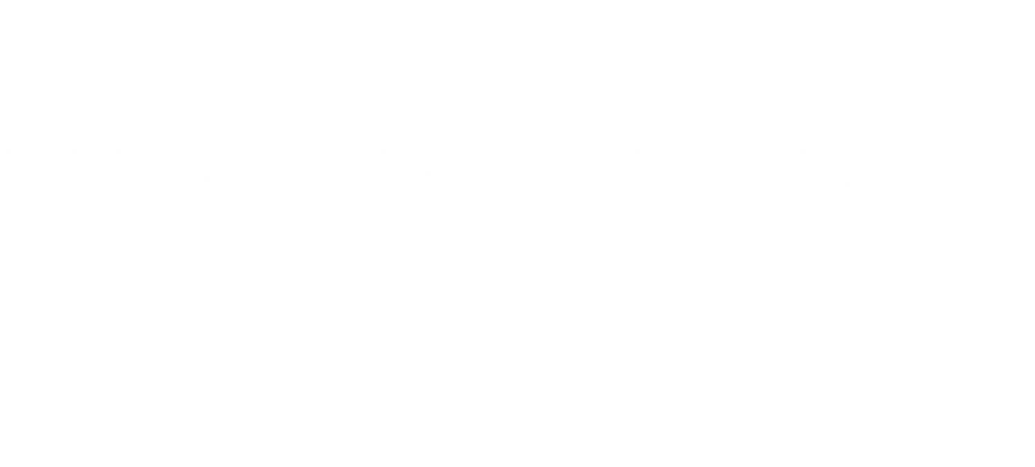 footer-logo